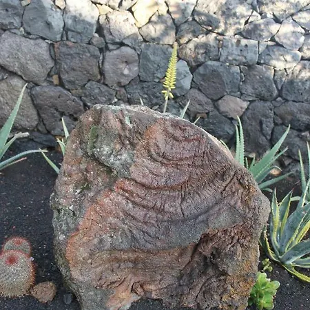 La Malvasia Villa Fuencaliente de la Palma
